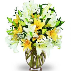 Lilium bouquet of different colors