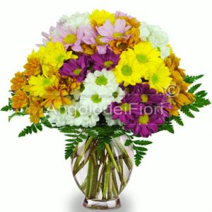 Bouquet of Daisies mixed colors