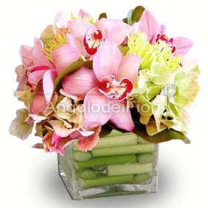 Composizione con fiori di Cymbidium rosa in vaso di vetro