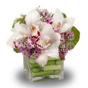 Cymbidium flowers pink glass composition