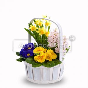 Basket with seasonal plants