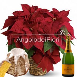 Stella di Natale con Pandoro e Champagne