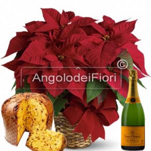 Christmas star with Panettone and Champagne