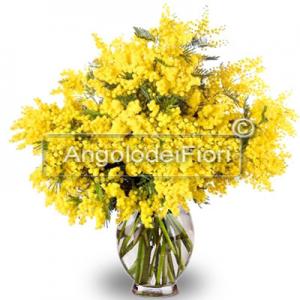  Bouquet of Mimosa