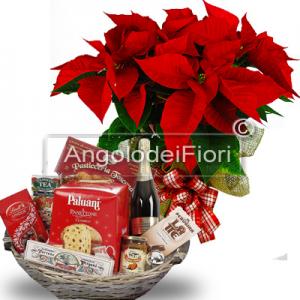 Basket Golden Italy with a combined plant poinsettia