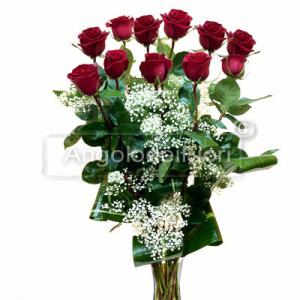 Eleven red roses for Degree